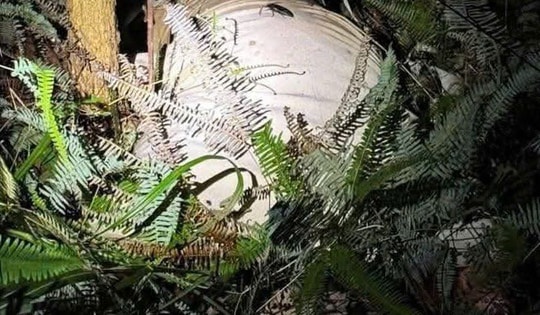 Tá hỏa phát hiện thi thể người phụ nữ trong bao tải nghi bị sát hại