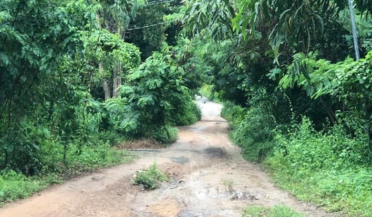 TPHCM: Con trai dùng dao sát hại mẹ, chém chị gái