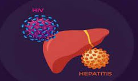 Điều trị đồng nhiễm HIV và viêm gan C, giúp giảm tổn thương gan