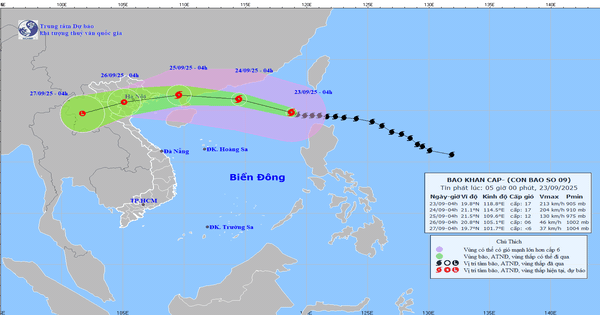 Bão Ragasa vào Biển Đông giữ nguyên cường độ giật cấp 17, miền Bắc sẽ mưa rất lớn