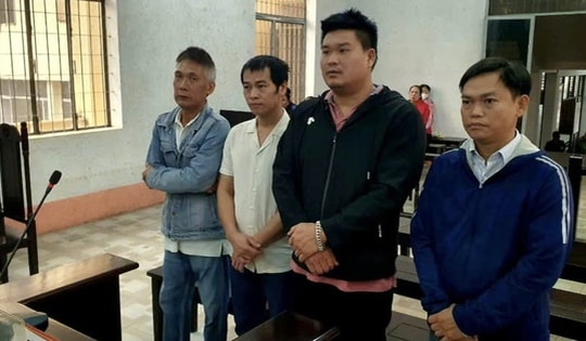 Dùng hóa chất để sản xuất giá đỗ, 4 bị cáo lĩnh án tù