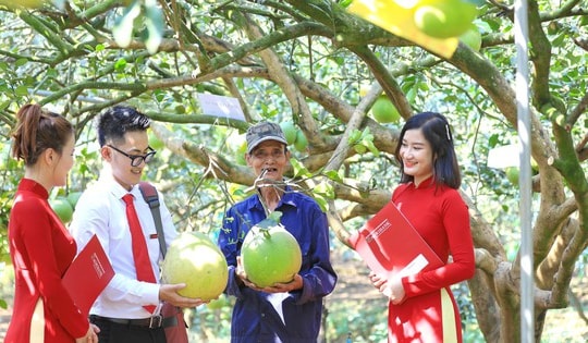 Agribank thúc đẩy phát triển bền vững với chương trình ưu đãi 'xanh'