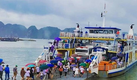 Từ 10h hôm nay, Quảng Ninh tạm ngừng cấp phép tàu hoạt động trên biển