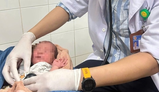 Phát hiện bé gái sơ sinh bị bỏ rơi trong vườn nhà dân
