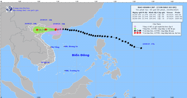 Bão số 9 tiến sát bờ biển Quảng Ninh, đổ bộ đất liền trong ngày hôm nay