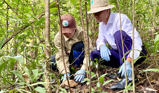 Thả nhiều động vật quý hiếm về rừng, có cá thể thuộc loài nguy cơ tuyệt chủng cao