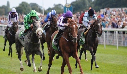 Đề xuất mở rộng việc đặt cược đua ngựa, đua chó và bóng đá quốc tế