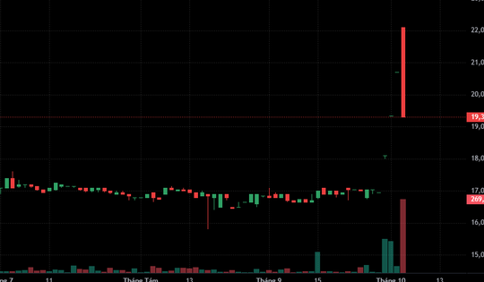 Cổ phiếu VMD của Vimedimex bất ngờ nằm sàn sau tin bị chuyển sang diện kiểm soát