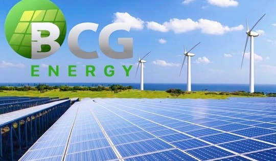 Bamboo Capital giải trình lý do cổ phiếu bị đưa vào diện đình chỉ giao dịch