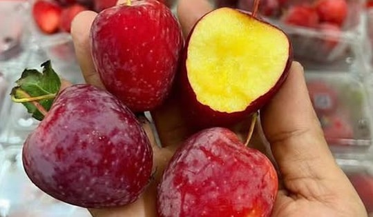 Vì sao táo cherry gây 'sốt' chợ Việt?