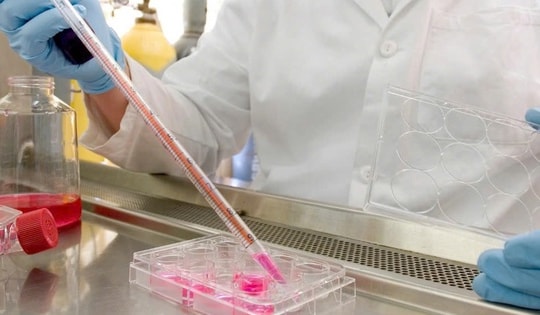 Bộ Y tế siết chặt quản lý tế bào gốc ‘xách tay’, xây dựng tiêu chuẩn quốc gia về tế bào và sản phẩm từ tế bào