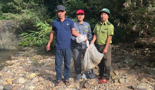 Trăn gấm quý hiếm vào vườn bắt gà, người dân giao nộp kiểm lâm thả về rừng