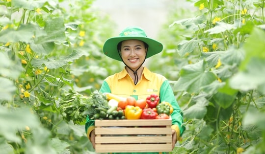 Hành trình rau sạch WinEco: Từ nông trường đến bàn ăn Việt