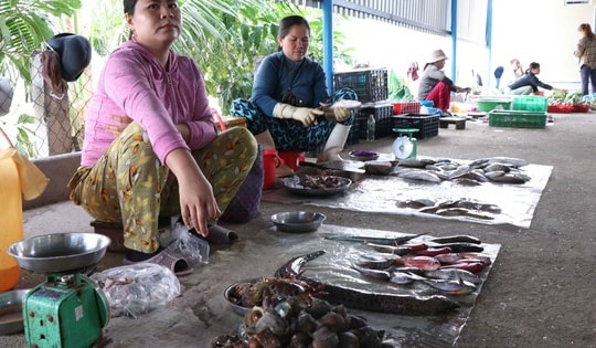 Chợ mới đầu tư tiền tỷ vắng như chùa Bà Đanh, chợ 'chồm hổm' lại tấp nập