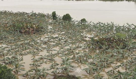 Hà Nội kích hoạt ứng phó khẩn cấp, tập trung bảo vệ vùng xung yếu