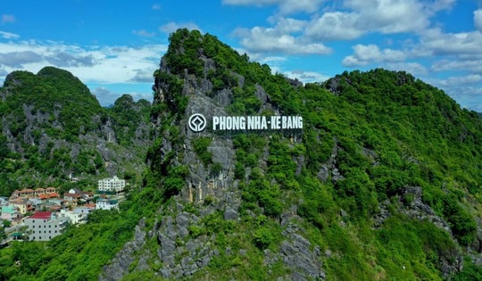 Chuyện về loài cây quý hiếm bậc nhất Việt Nam