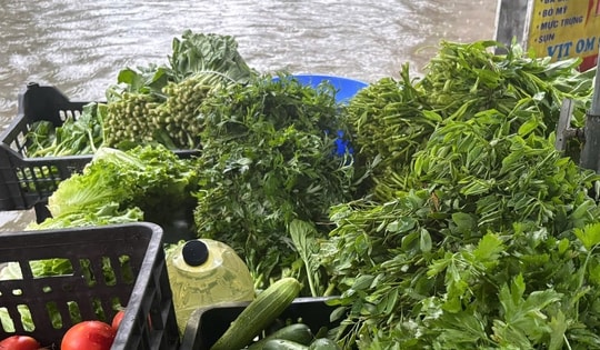 Sau bão số 11, rau xanh ở chợ dân sinh Hà Nội 'đội giá': Rau muống 20.000 đồng/bó, hành lá 50.000 đồng/kg