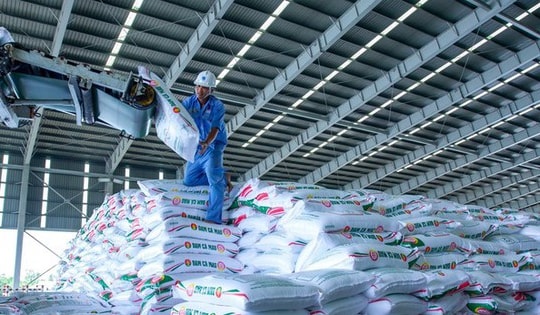 Lãnh đạo DCM không hoàn tất giao dịch 8.000 cổ phiếu