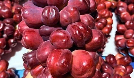 Vì sao nho sữa đỏ trái tim giá cao vẫn 'hút' người tiêu dùng?