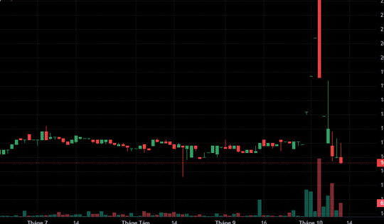Cổ phiếu VMD của Vimedimex 'dựng cây thông' trước ngày tạm ngừng giao dịch