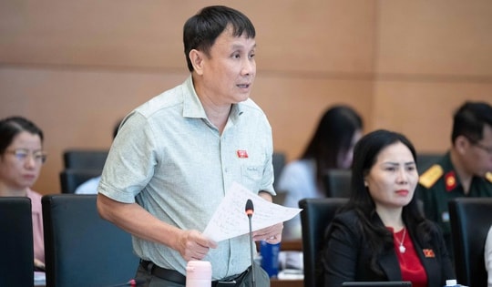 ĐBQH đề xuất cần có chính sách hỗ trợ nhóm hiếm muộn góp phần duy trì mức sinh thay thế