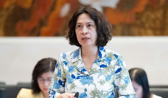 Thứ trưởng Bộ Y tế làm rõ một số ý kiến ĐBQH về 2 dự án luật Phòng bệnh, Dân số