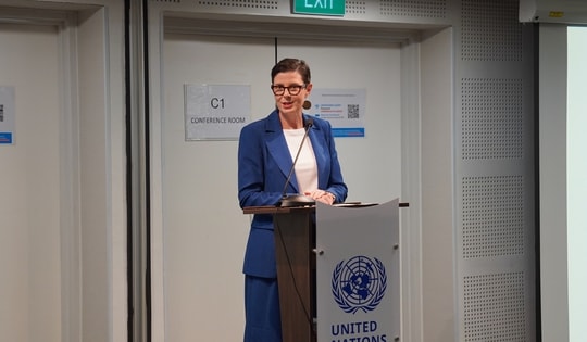 Mỗi ngày có 5 trẻ em tử vong vì tai nạn giao thông