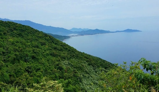 Huế lập khu bảo vệ cảnh quan bảo tồn động vật quý hiếm, đặc hữu