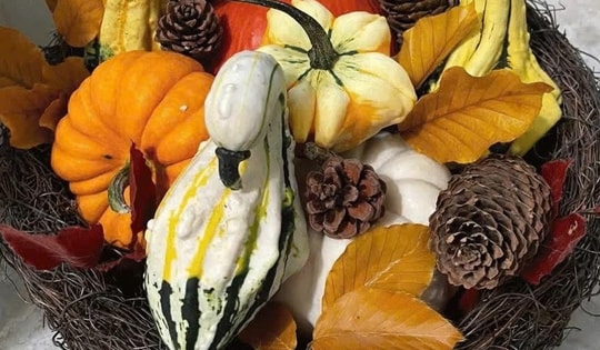 Nhiều người chi tiền triệu săn bí ngô 'độc lạ' về chơi Halloween