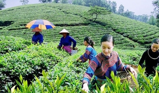 Lào Cai xây dựng nông thôn mới kiểu mẫu từ năm 2025