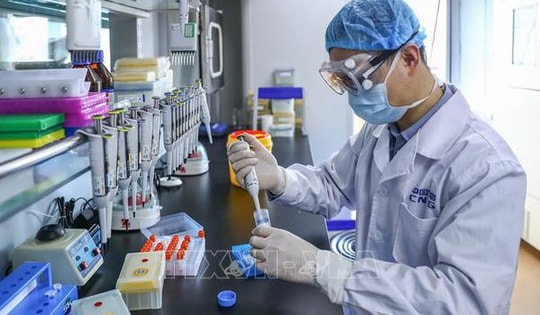 Trung Quốc thử nghiệm lâm sàng giai đoạn 3 thuốc điều trị ung thư não