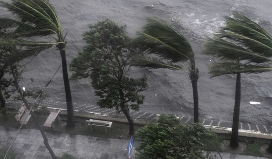 Khẩn trương ứng phó với áp thấp nhiệt đới sắp mạnh lên thành bão