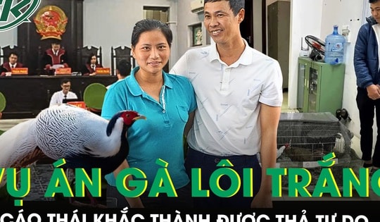 Toàn cảnh vụ án gà lôi trắng: Bị cáo Thái Khắc Thành được miễn trách nhiệm hình sự, thả tự do tại tòa