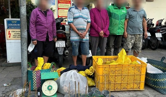 Bắt 15 đối tượng trong đường dây trộm cắp, mua bán chó mèo không rõ nguồn gốc tại TPHCM