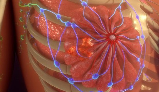 Tìm ra giải pháp tối ưu hóa thuốc điều trị ung thư vú Tamoxifen