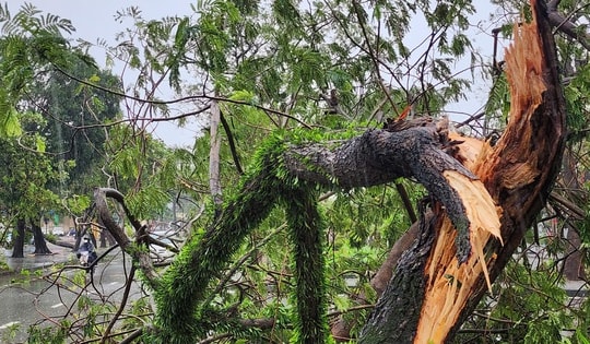 Bão Fengshen mạnh lên, giật cấp 13 khi tiến vào Biển Đông