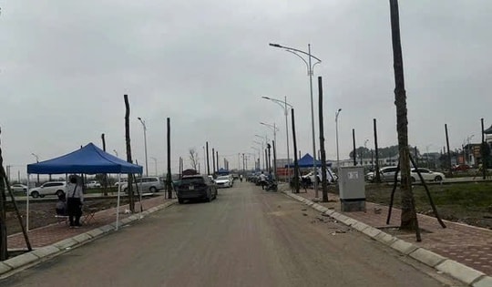 Đề xuất đấu giá rồi bỏ cọc bị cấm tham gia đến 5 năm