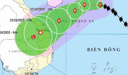 Thủ tướng yêu cầu triển khai ngay các biện pháp ứng phó với bão số 12