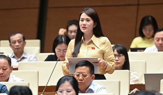 Bạo lực học đường ngày càng nghiêm trọng, ĐBQH kiến nghị gì?