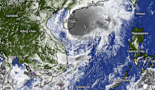 Khẩn trương triển khai các biện pháp chủ động ứng phó với bão số 12