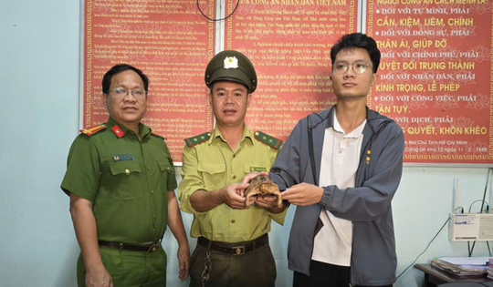 Nam thanh niên bất ngờ gặp động vật quý hiếm nhóm IB gần phòng trọ