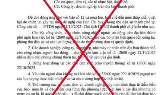 Đà Nẵng bác tin giả cho cán bộ, công chức nghỉ làm, dừng hoạt động chợ vì bão số 12