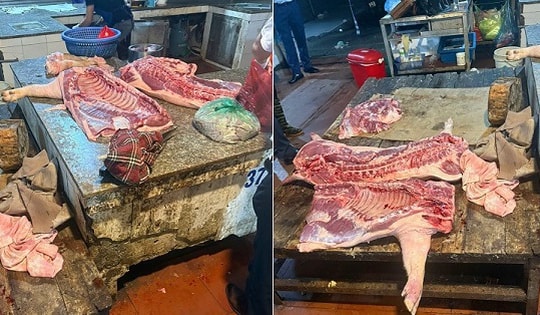 Hà Nội: Triệt phá đường dây mua bán hơn 61 tấn lợn nhiễm dịch bệnh làm thực phẩm