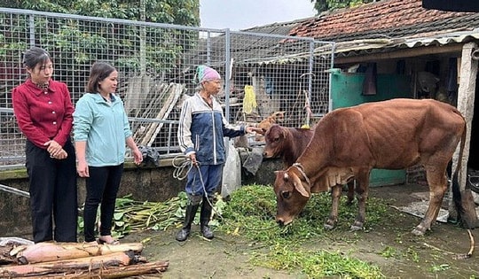 Ninh Bình: Thực hiện hiệu quả, đồng bộ các chính sách về giảm nghèo