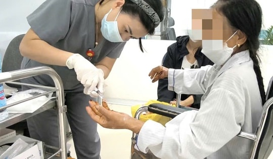 Bị chó nhà tấn công khi cho ăn, cụ bà gãy đốt ngón tay