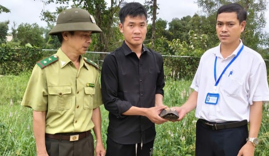 Người dân Huế liên tiếp giao nộp rùa quý hiếm