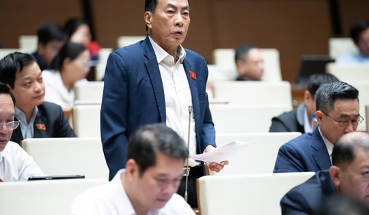 Nhiều góp ý về hoạt động giám sát của Tổ đại biểu HĐND đi vào thực tiễn, hiệu quả