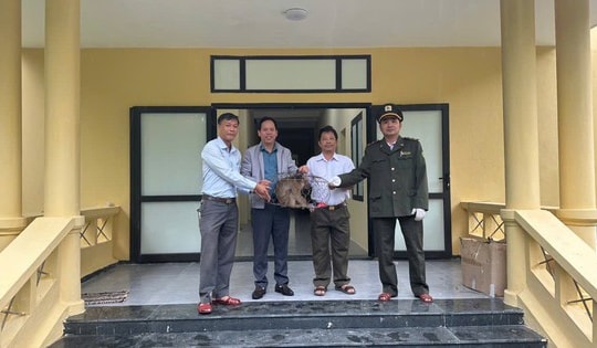 Khỉ đuôi lợn quý hiếm 'đi lạc' được giao nộp cho cơ quan chức năng