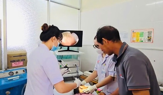 5 con dòi sống cạnh xác côn trùng trong tai người phụ nữ