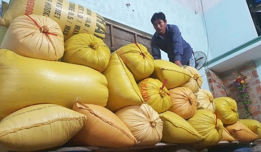 Người dân Đà Nẵng tất bật kê đồ, đóng bè tránh lũ